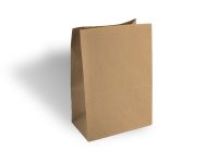 Paper bag 350*290*210