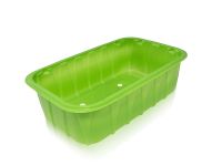 Berry tray 0.5kg (PP-702 Green)